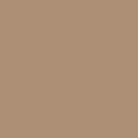 Solid Brown RS48 swatch