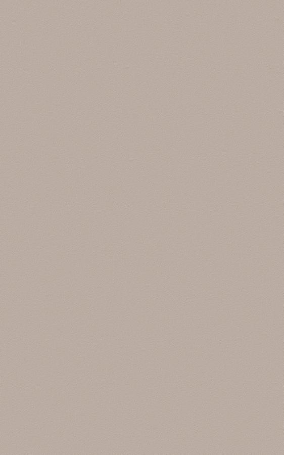 Solid Beige RS49 swatch