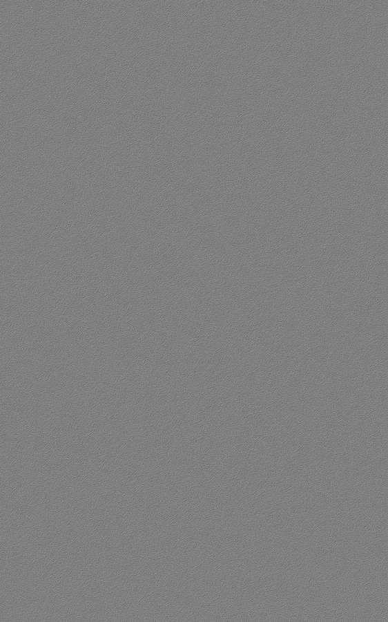 Solid Gray RS55 swatch