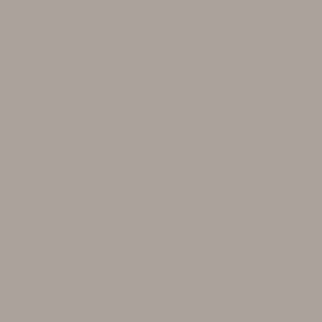 Solid Gray RS55 swatch