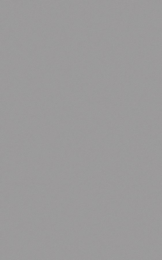 Solid Gray RS56 swatch