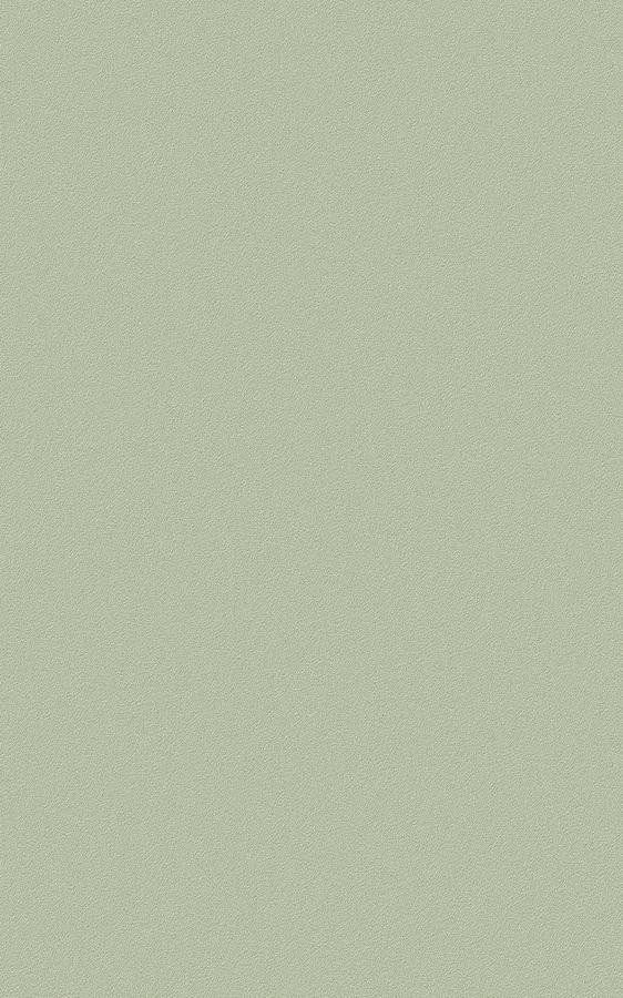 Solid Green RS58 swatch