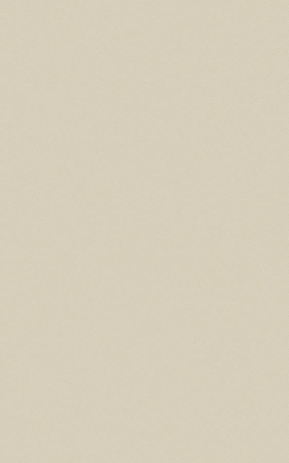 Solid White RS70 swatch