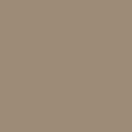 Solid Brown RS76 swatch