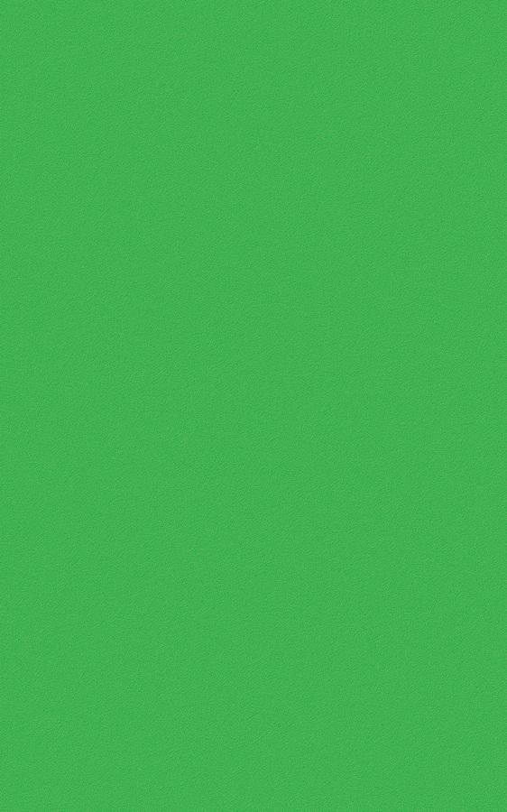 Solid Green RS88 swatch