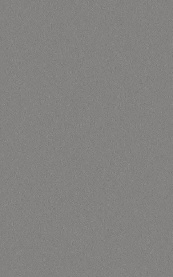 Solid Gray RS91 swatch