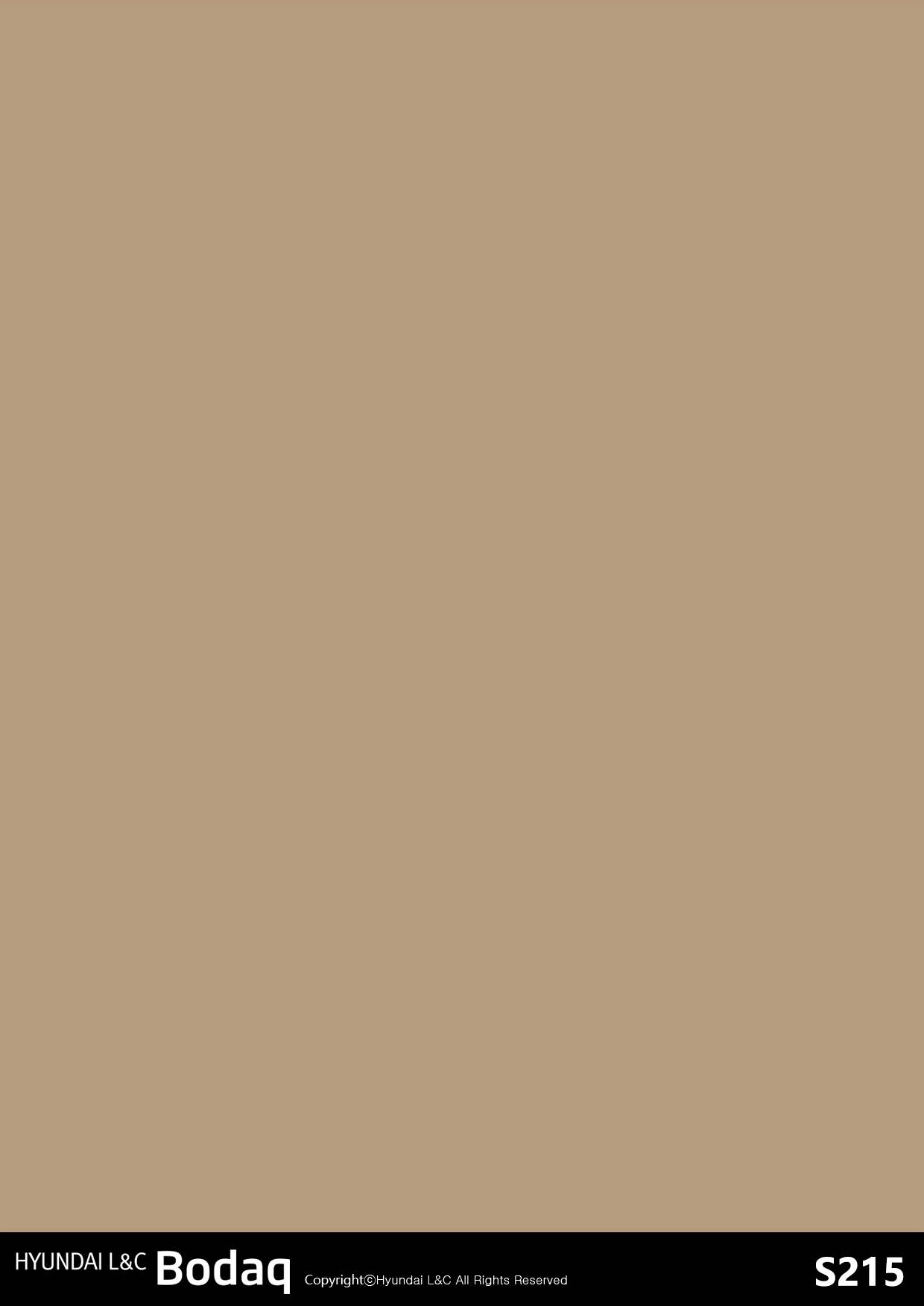 Almond Latte swatch