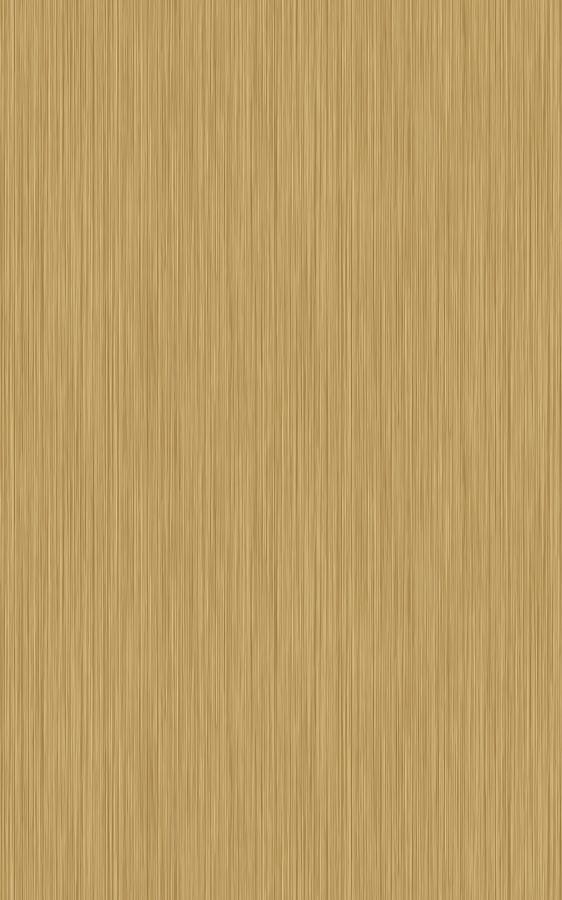 Metal Gold SN002 swatch