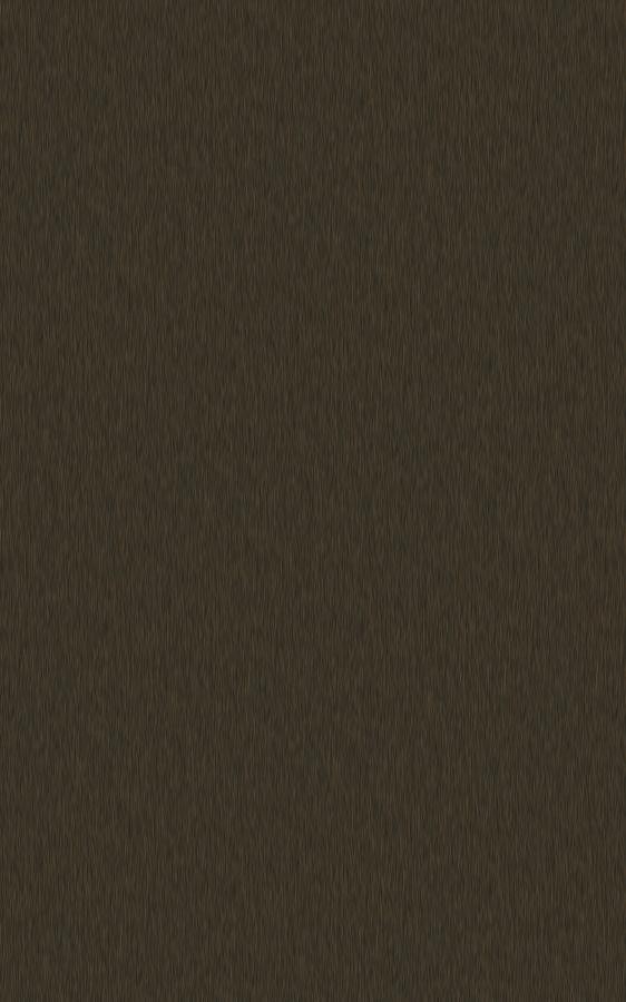 Metal Brown SN005 swatch