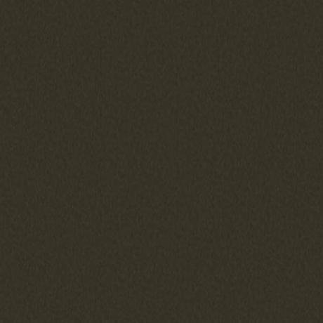 Metal Brown SN005 swatch