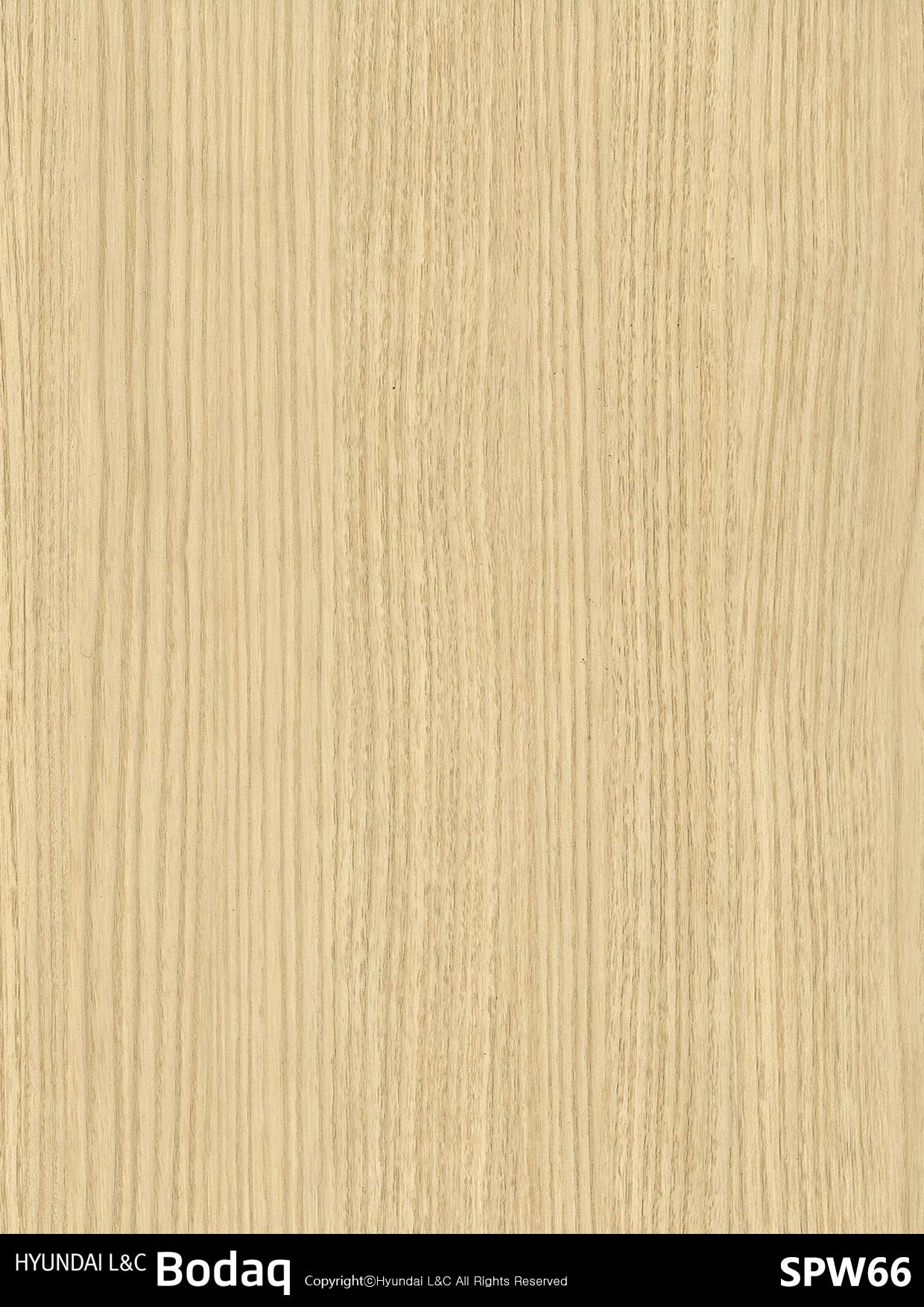 Elm swatch