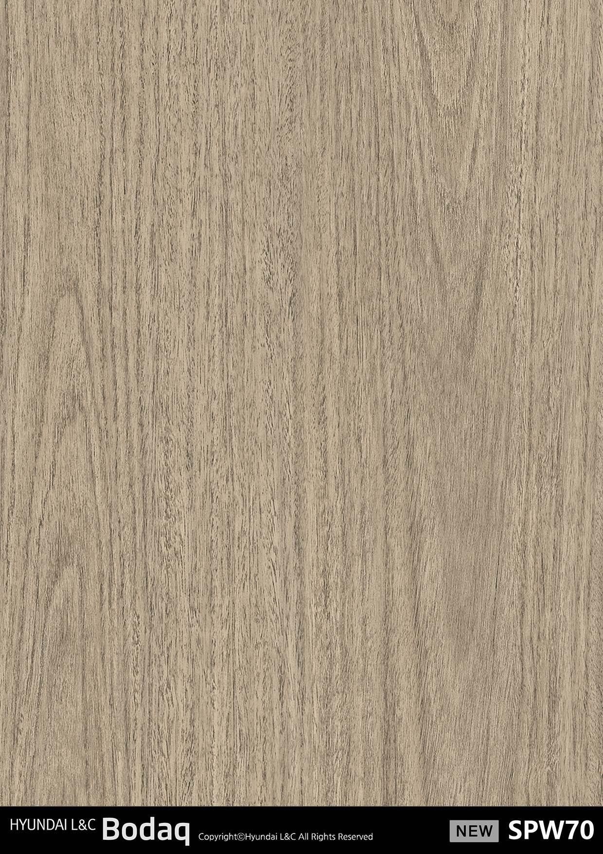 Eucalyptus swatch