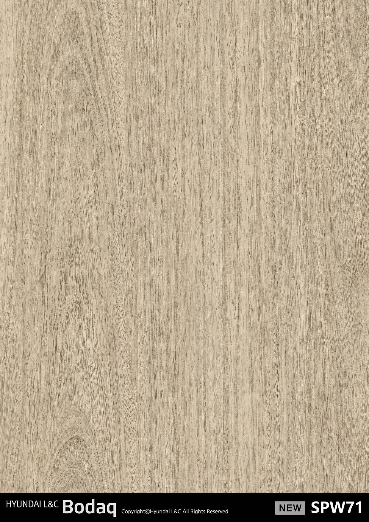 Eucalyptus Light swatch