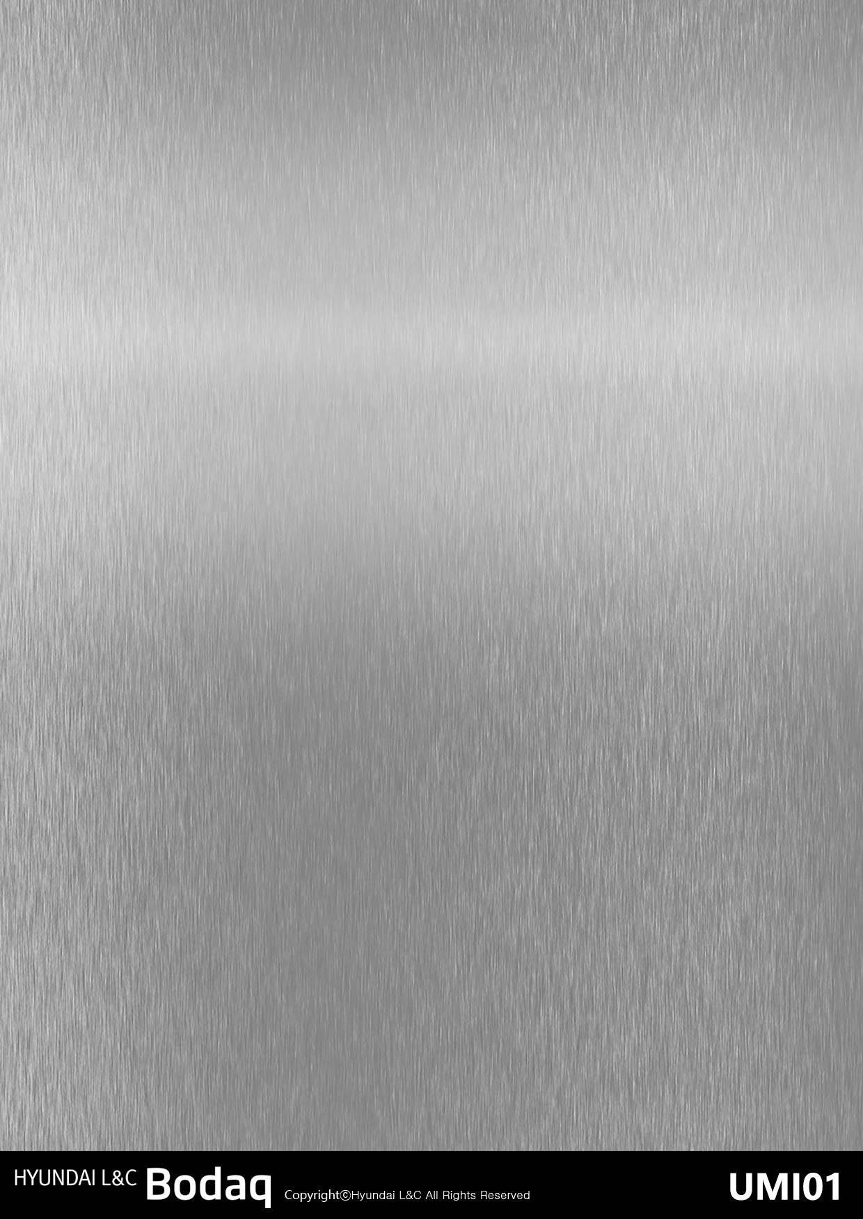 Shiny Silver swatch