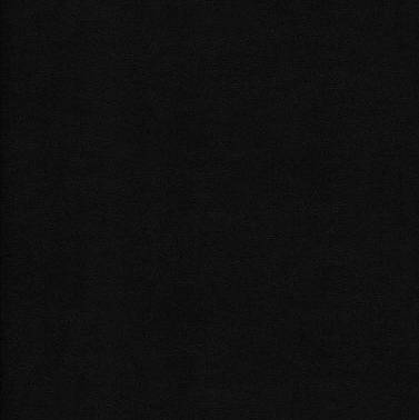 Coal Black swatch